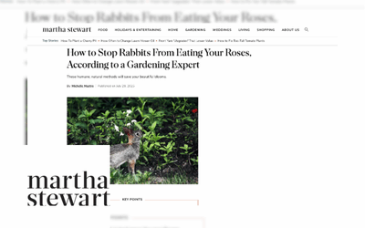 Martha Stewart – Roses